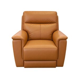 Dominique Recliner