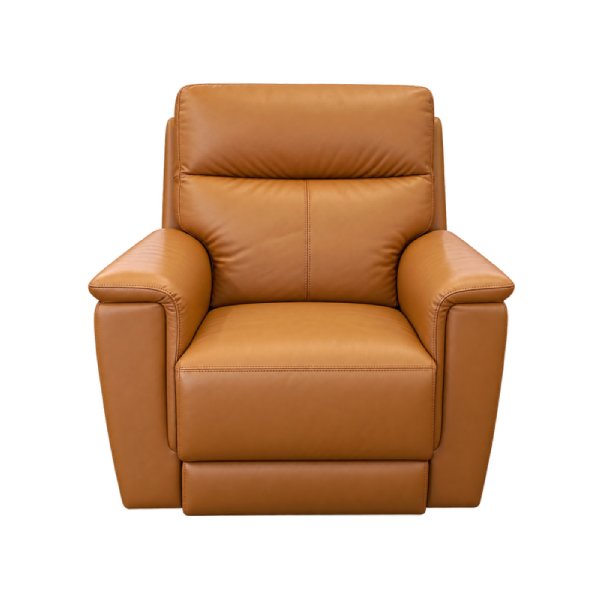 Dominique Recliner